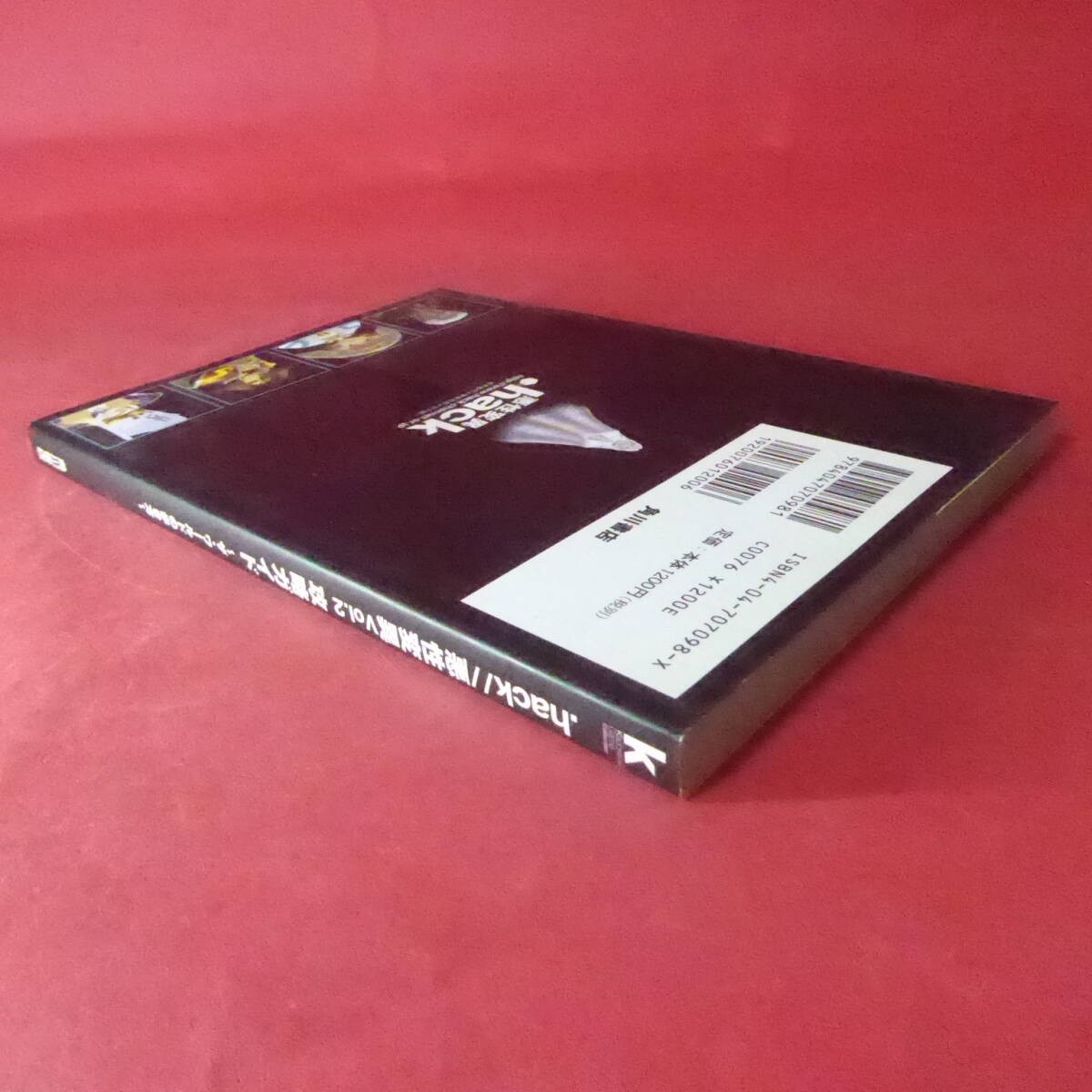 S4250605 Strategy Guide Vol 2