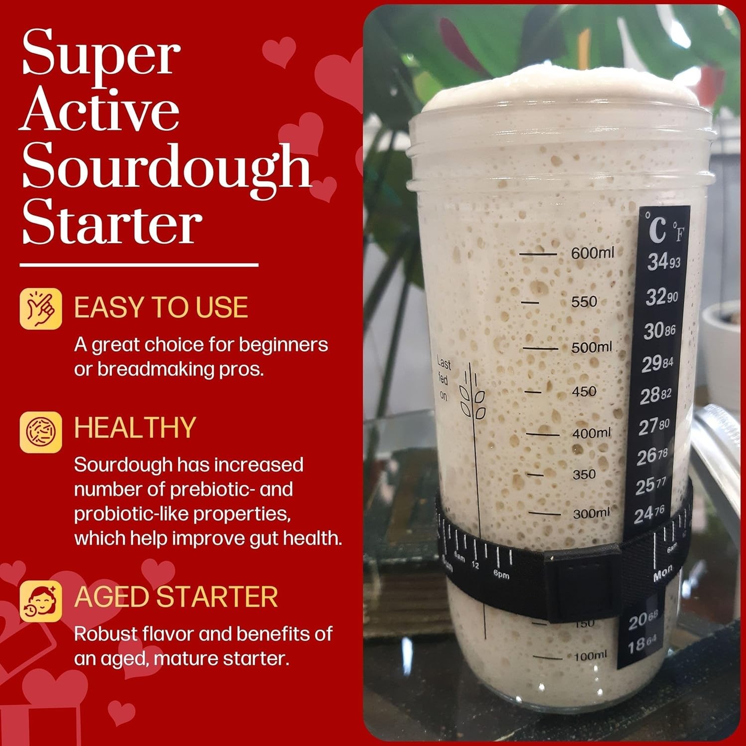 Versatile 100- Sourdough Starter Kit - Ideal for Beginners & Artisan Bakers