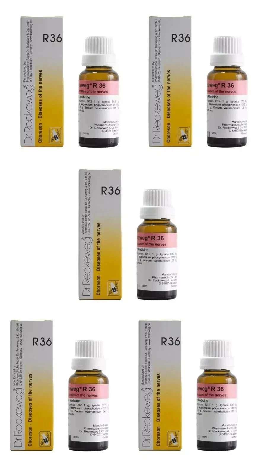 Dr Reckeweg R36 Drops 22ml ×5 | Natural Nervous System Calmness & Balance Aid