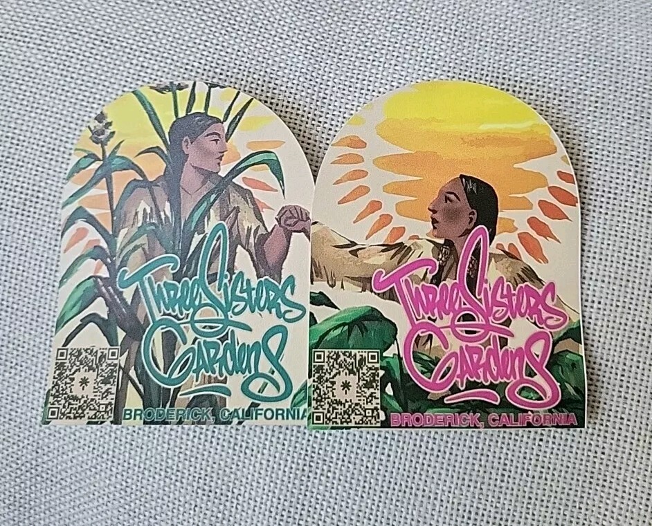 Three Sisters Garden Vinyl  Stickers California Indigenous Land Graphic Art