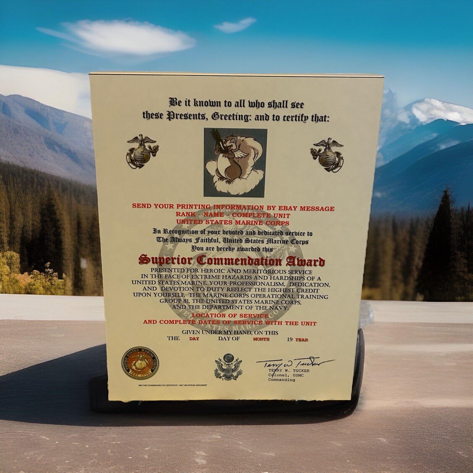 U.S.M.C. / MARINE OPERATIONAL TRAINING GROUP 81 - SUPERIOR COMMENDATION AWARD