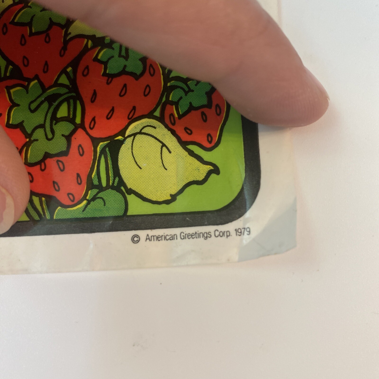 VTG 1980 Strawberry Shortcake Play Doh Set Replacement Lady Bug & Plastic Mat