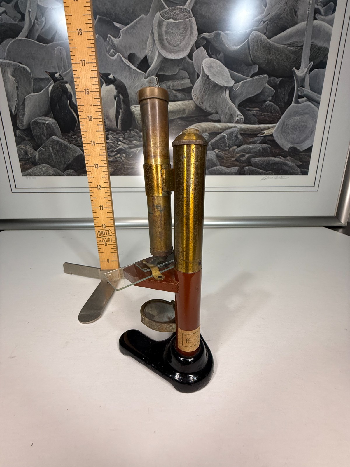 Pre 1900 Japanese 亚洲 Rare Microscope 显微镜 古董