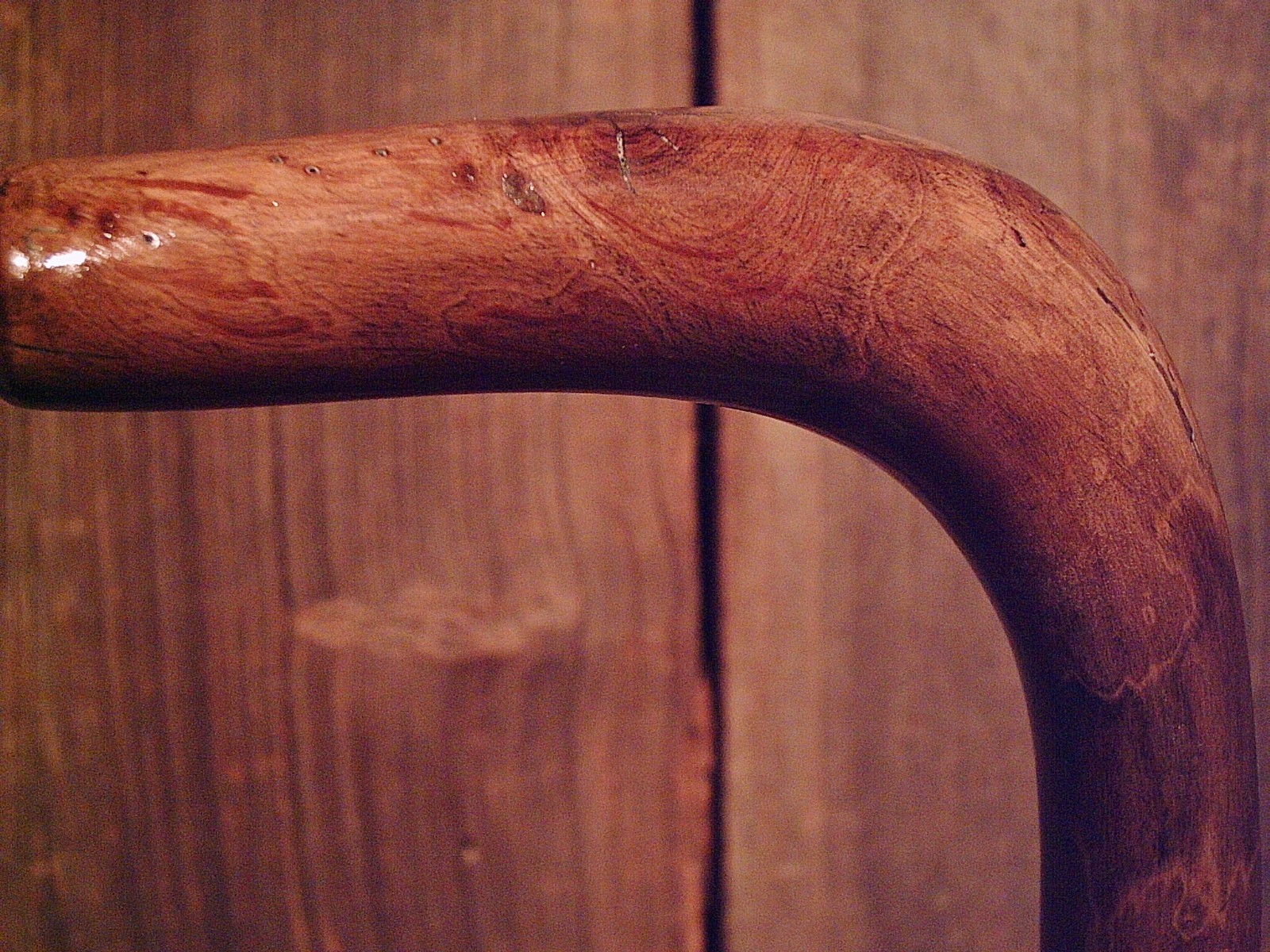 walking stick cane natural grown ROOT HANDLE for average size hands MADE IN USA