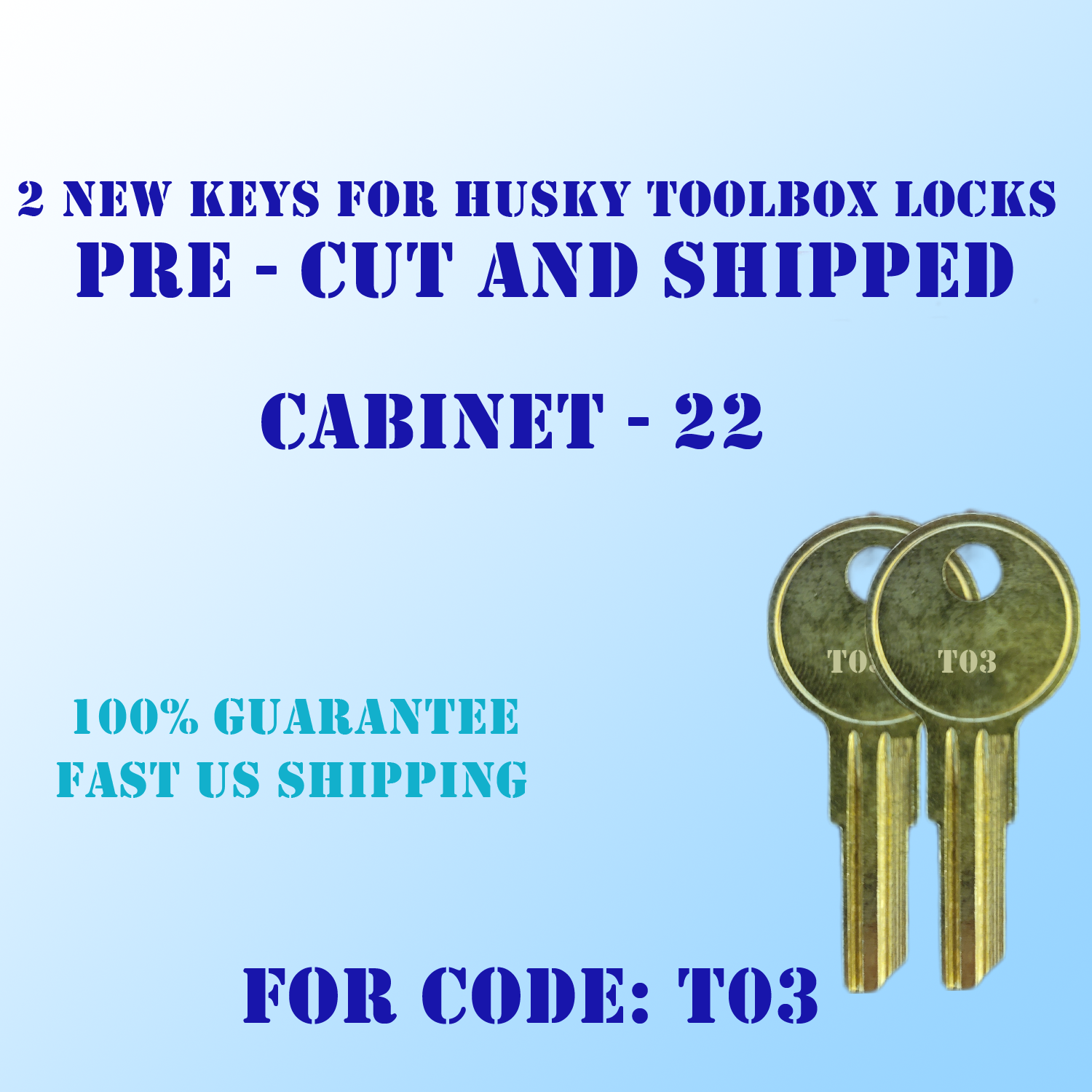 T03 Keys. Replacement pre cut keys for Husky tool box locks, cut to your code