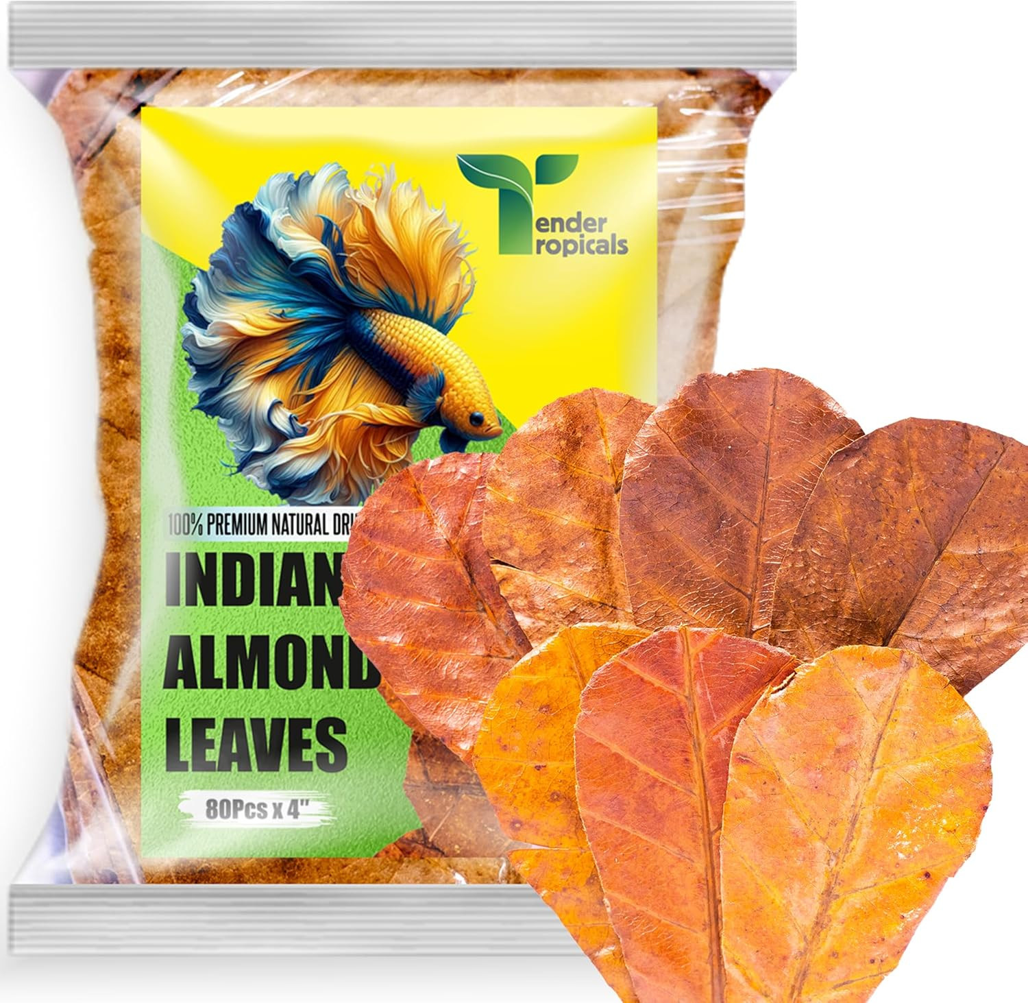 80 Pcs Dried Catappa Indian Almond Ketapang Leaves, Betta Fin Rot Treatment, 4”