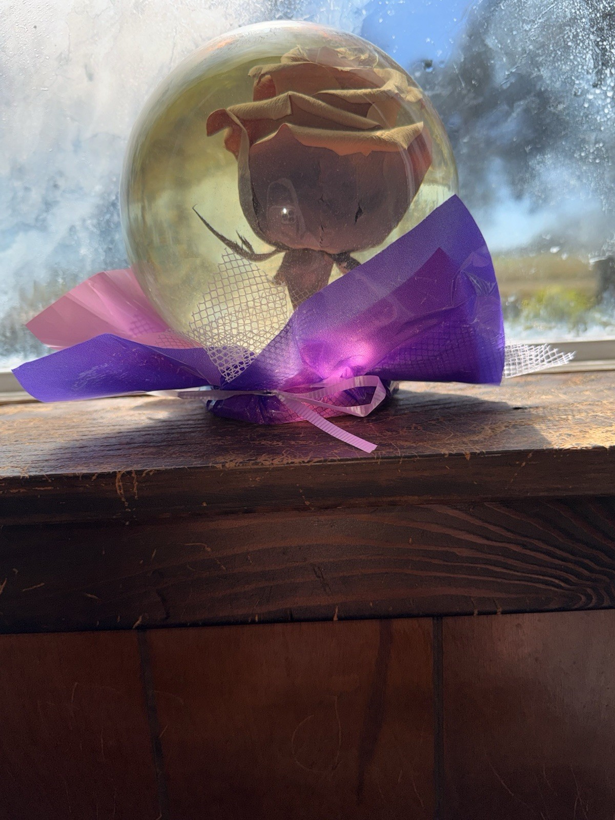 Rose In A Globe