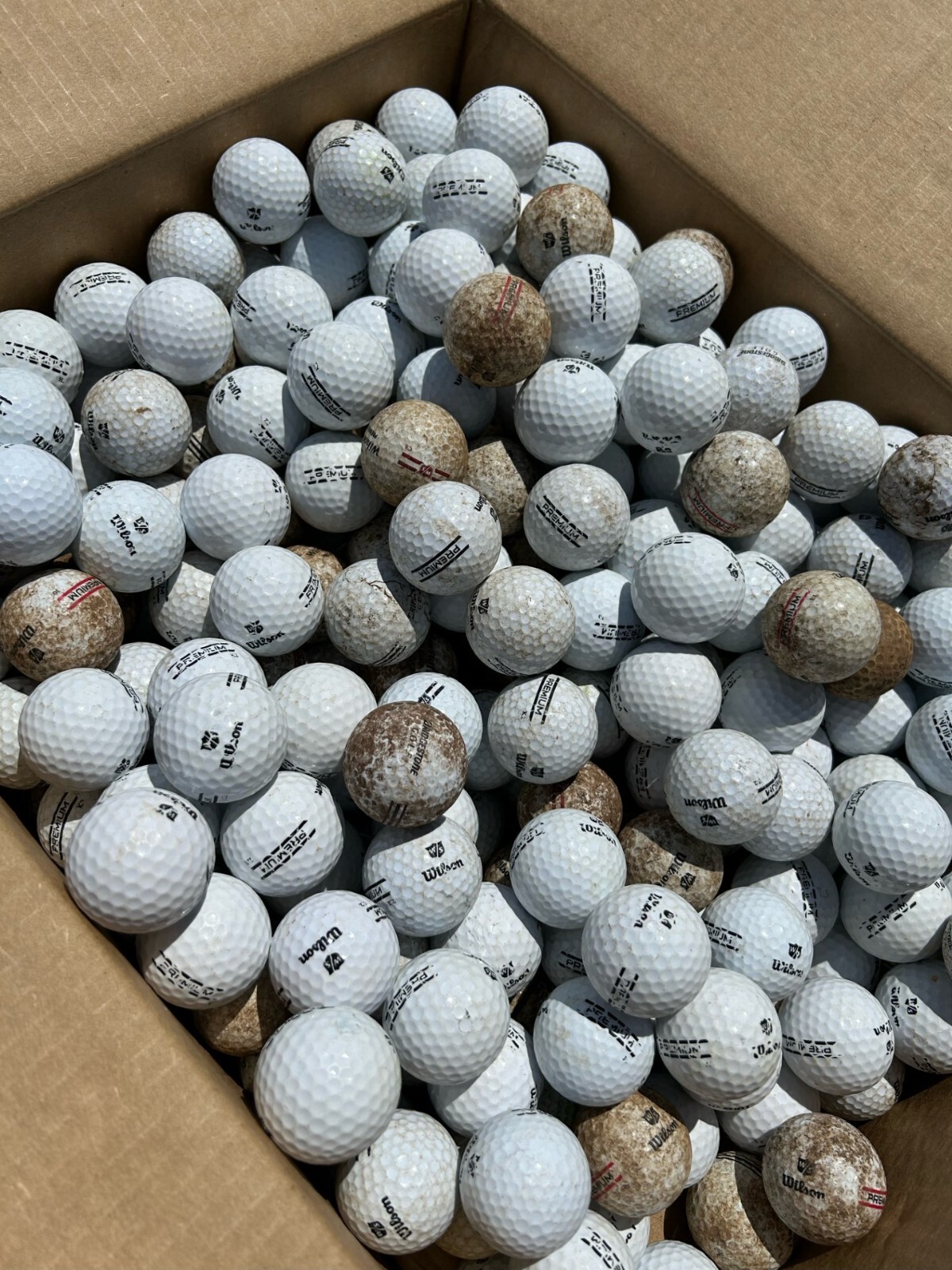 300 Range Practice Golf Balls D Grade Practice Shag Golf Balls FREE SHIPPING