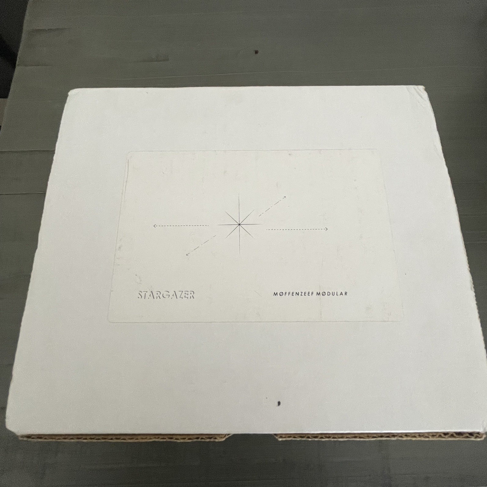 Moffenzeef Modular Stargazer MSG II [INTENSIFIES] drone noise synth effects
