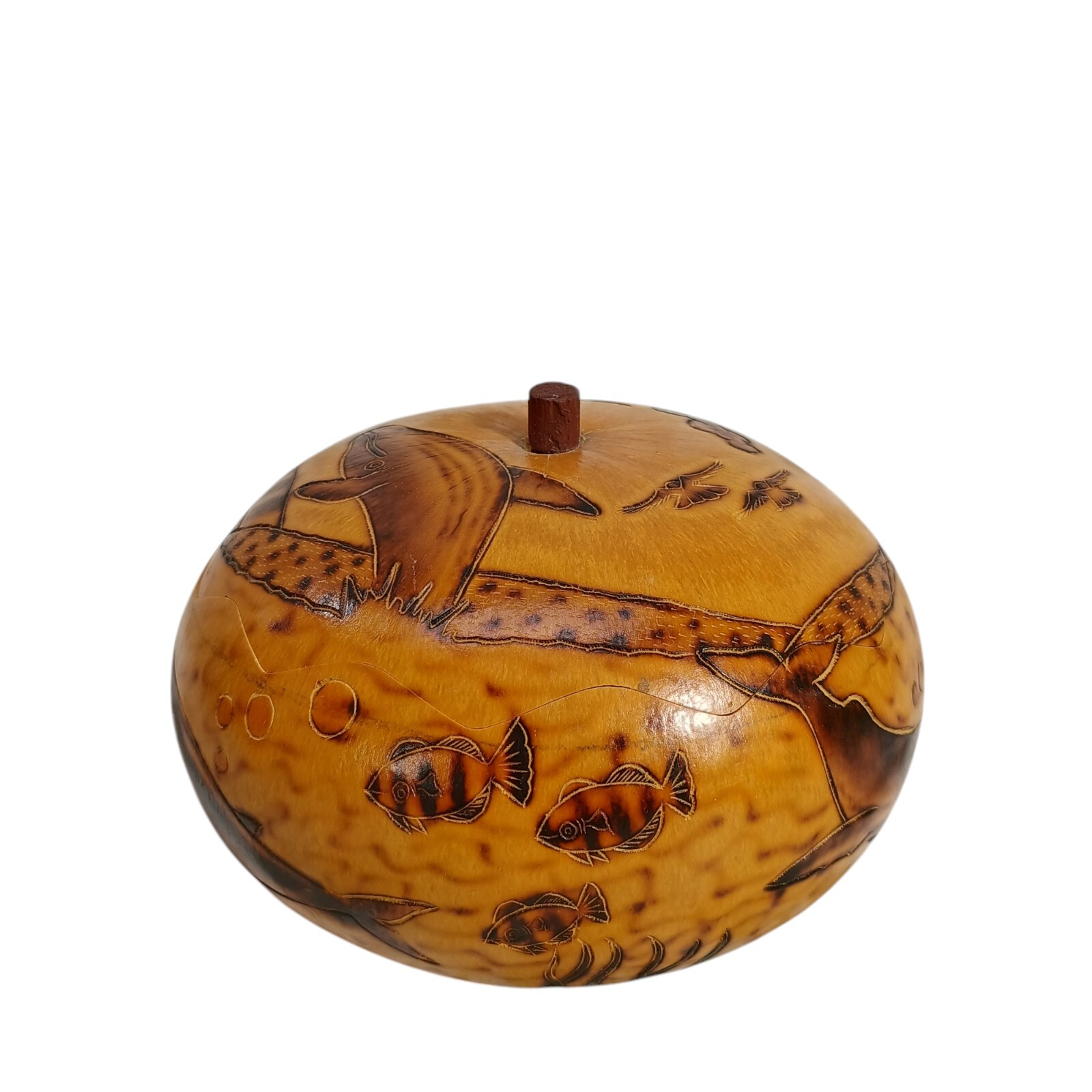 Peruvian Style Hand Carved Gourd with Lid Fish 5" Aquatic Theme