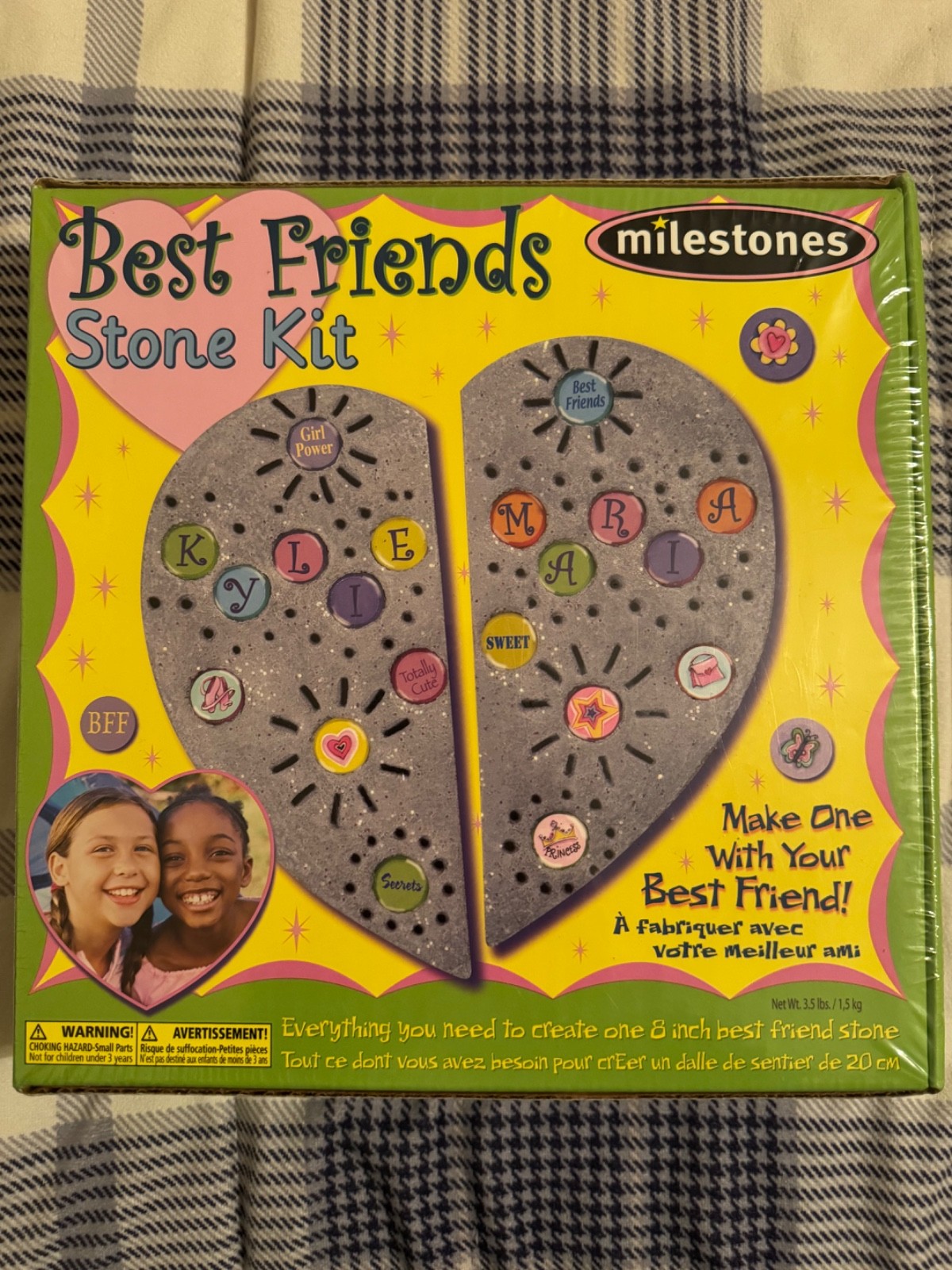 Milestones Best Friends Stone Kit, Heart BFF Kids Craft Creation Set, New Sealed