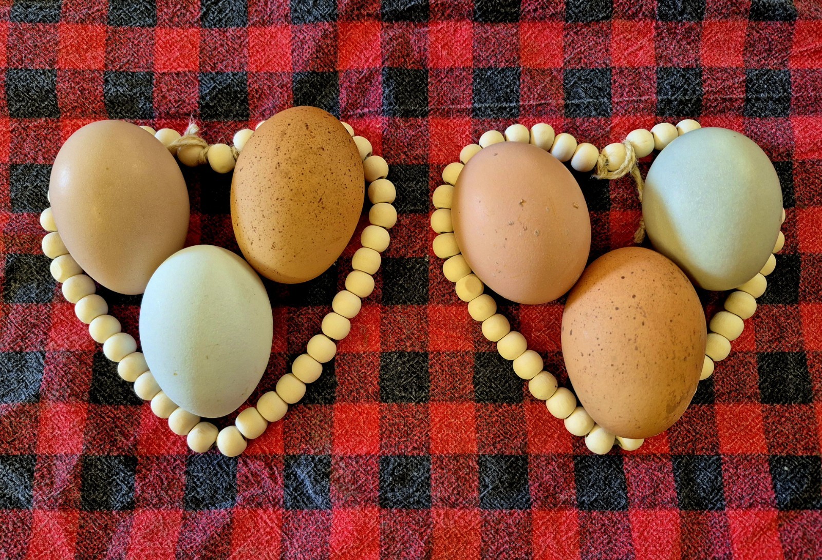 6 Assorted Rainbow Hatching Eggs .