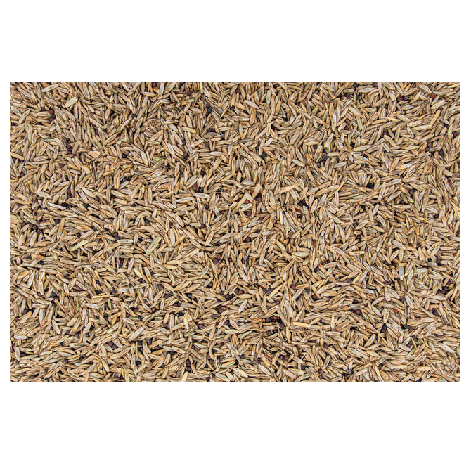 Evolved Throw & Gro with Clover ~ 5 lb ~ FREE SHIPPING