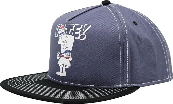 School House Rock Vote Hat - I'm Just a Bill - Brand New Snapback