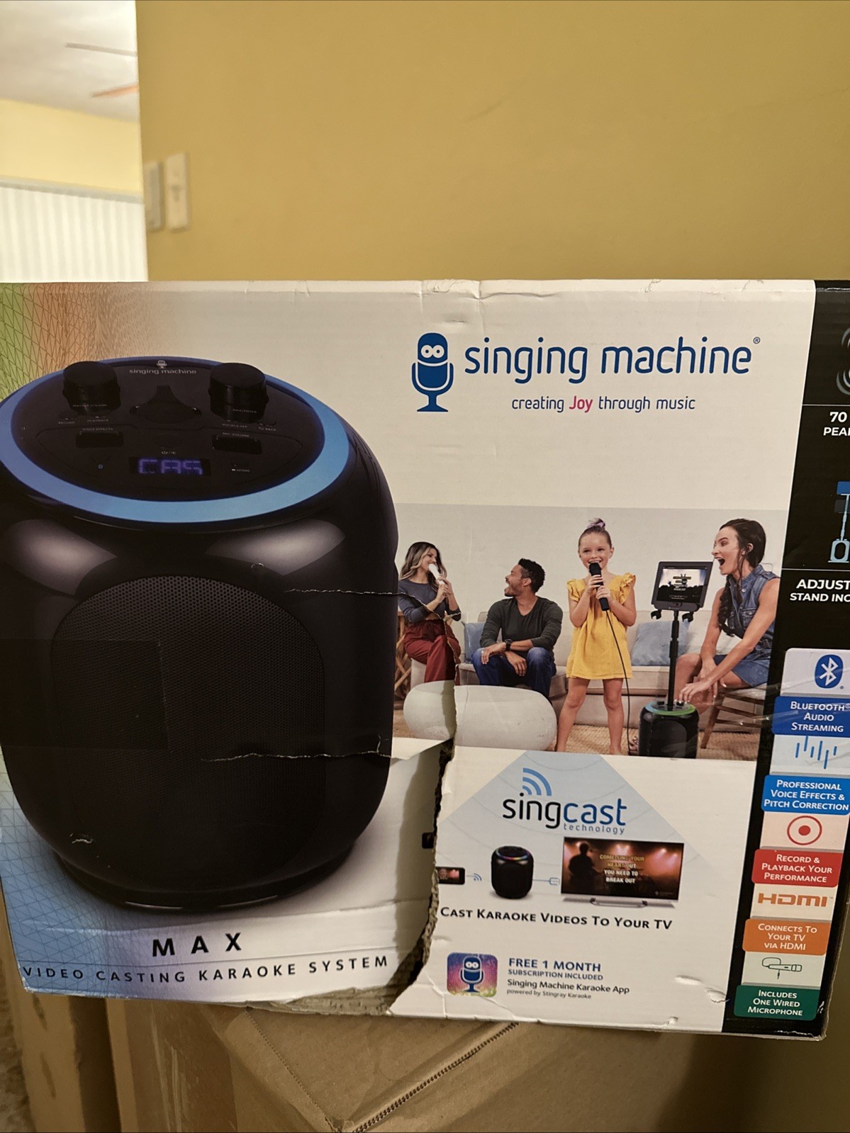 THE SINGING MACHINE Karaoke Machine W/Cast, Pitch Correction & Record/Replay-NEW