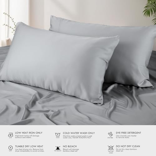 Sheets Bed Sheet Set, 100% Rayon derived from Bamboo, Luxuriously Queen Silver