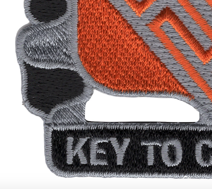 50th Expeditionary Signal Battalion Patch