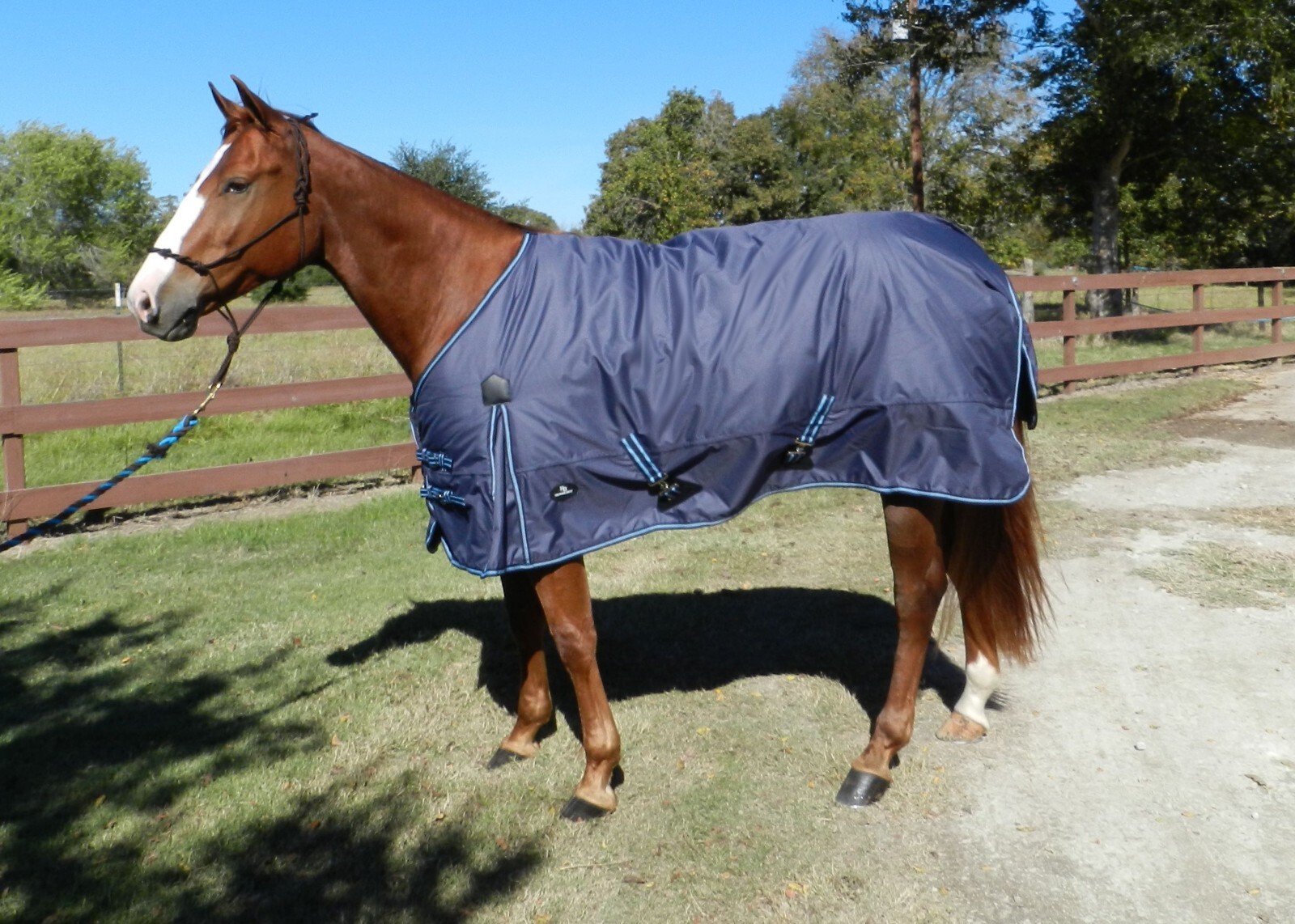 Supreme Winter Turnout Horse Blanket 74", 76", 78", or 80" - FREE SHIPPING