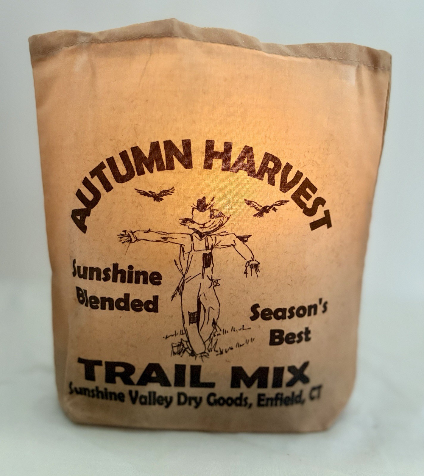 Handmade AUTUMN HARVEST Halloween Fall Luminary Bag Feed Sack w/Candle & Stand