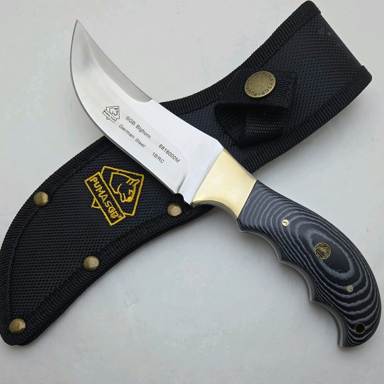 Bighorn German Steel Blade Knife In Box