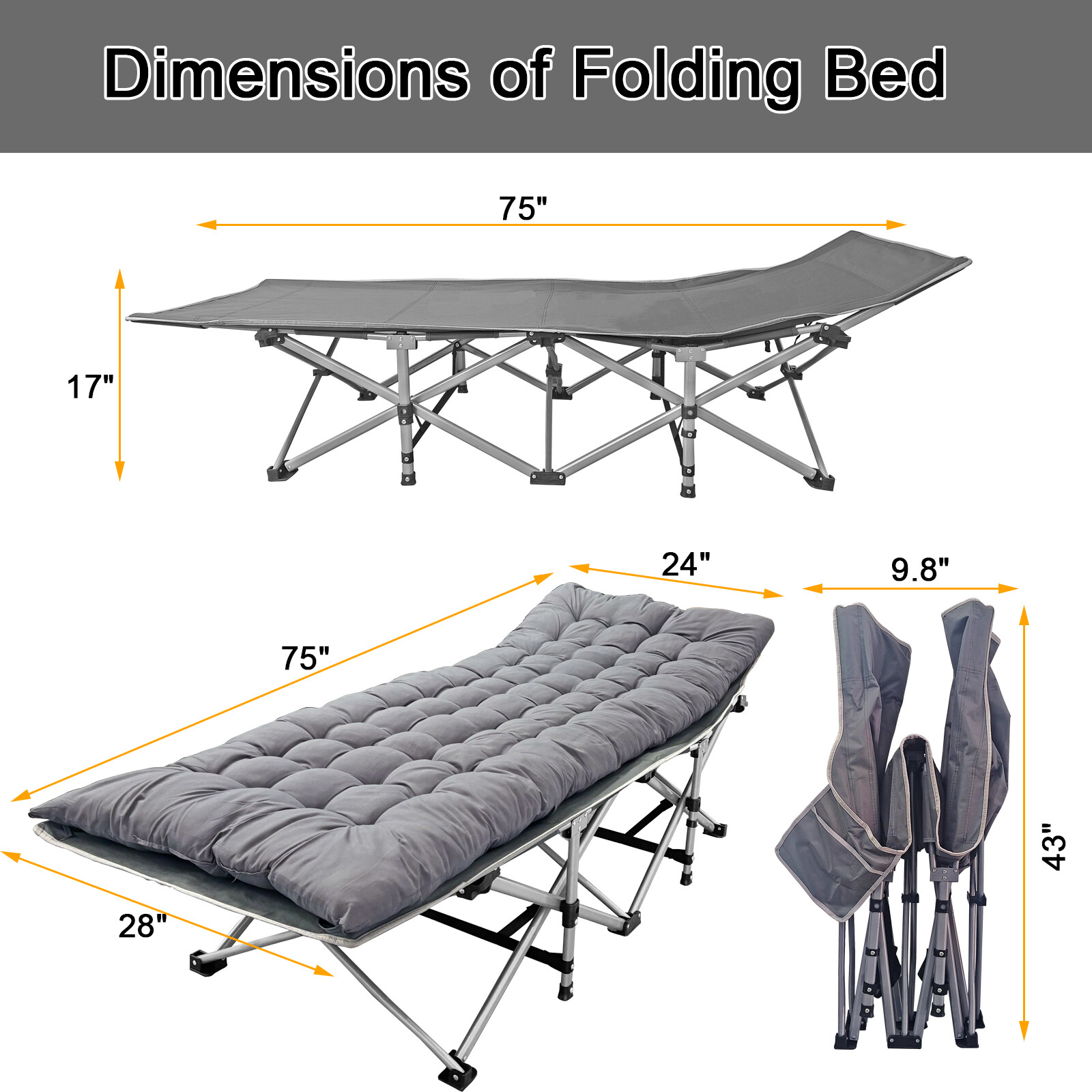 Pro Series Collapsible Camping Cots - Heavyweight Support for Backpacking/Guest