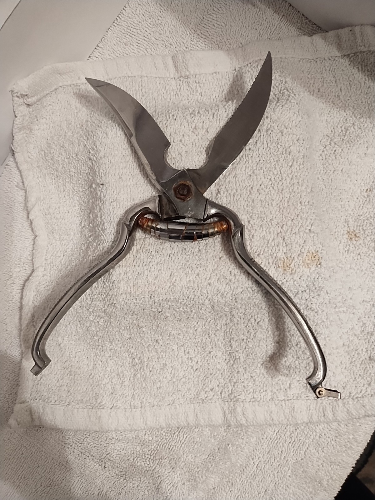 Poultry / Meat / Utility Shears