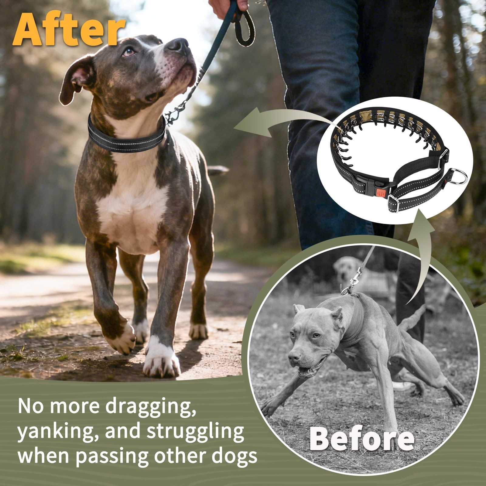 No Pull Martingale Collar for Medium Large Dogs - Adjustable, Reflective, Anti-P