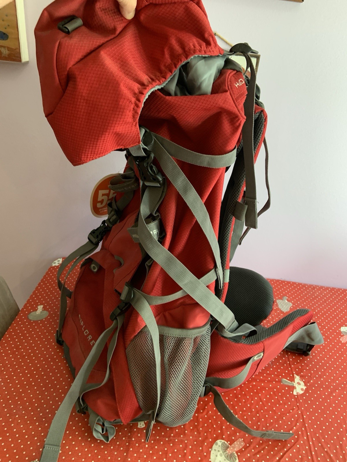 Angry Orchard High Sierra 55l Backpack Never Used Original Tags Very Nice!