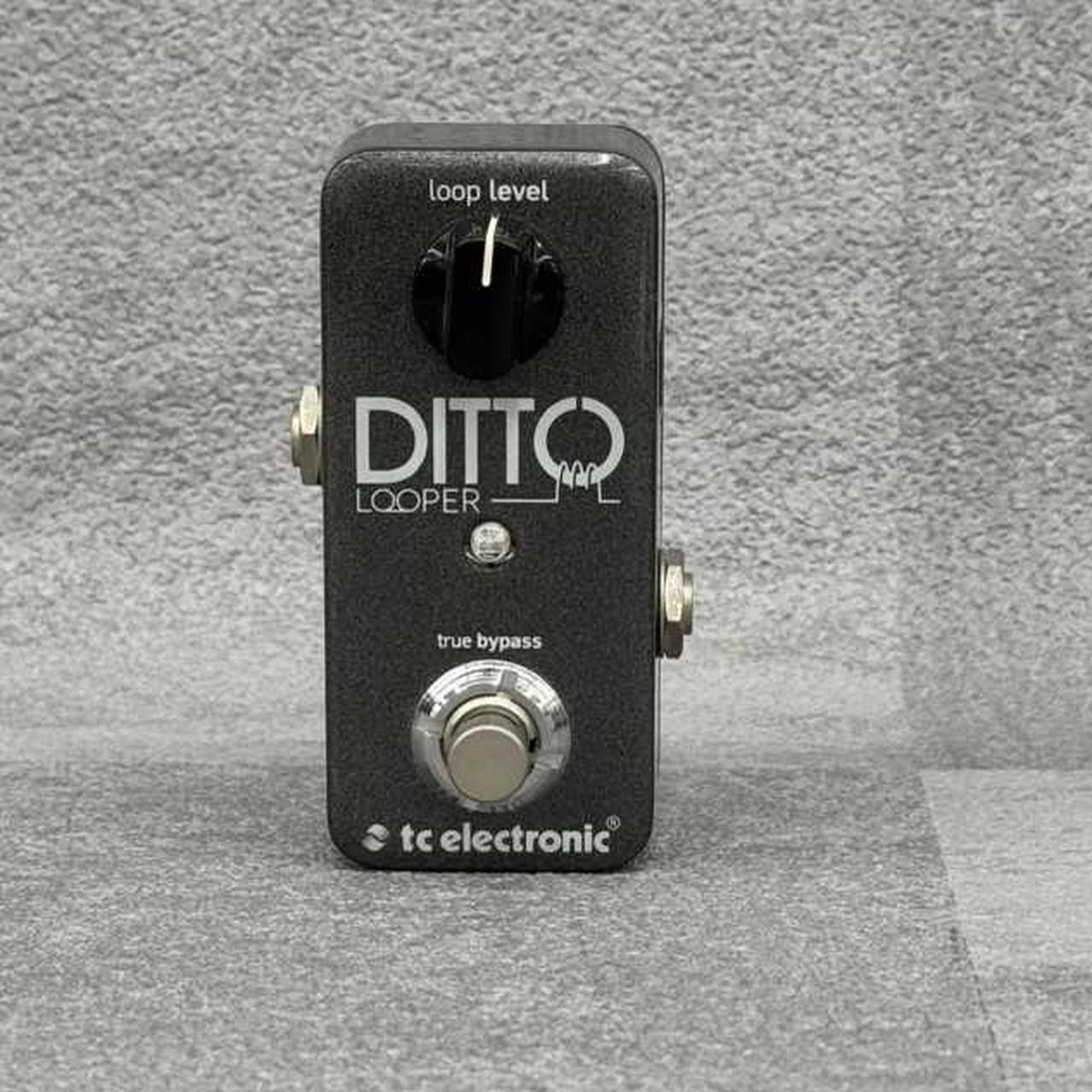 TC Electronic DITTO Looper Model