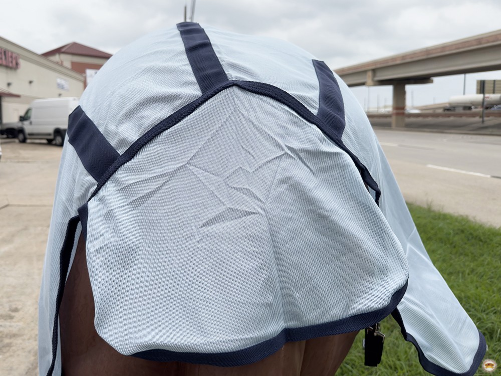 HILASON Horse Fly Sheet UV Protect Breathable Mesh Bug Mosquito Spring | Summer