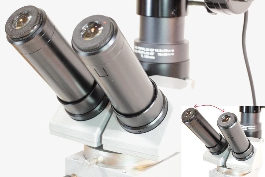 microscope antique collectible Leitz's "Elber" Stereo Polarizing Microscope