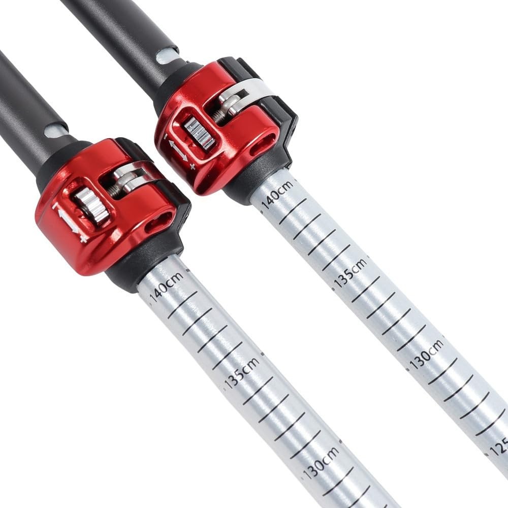 MSR DynaLock Explore 3-Section Aluminum Backcountry Poles