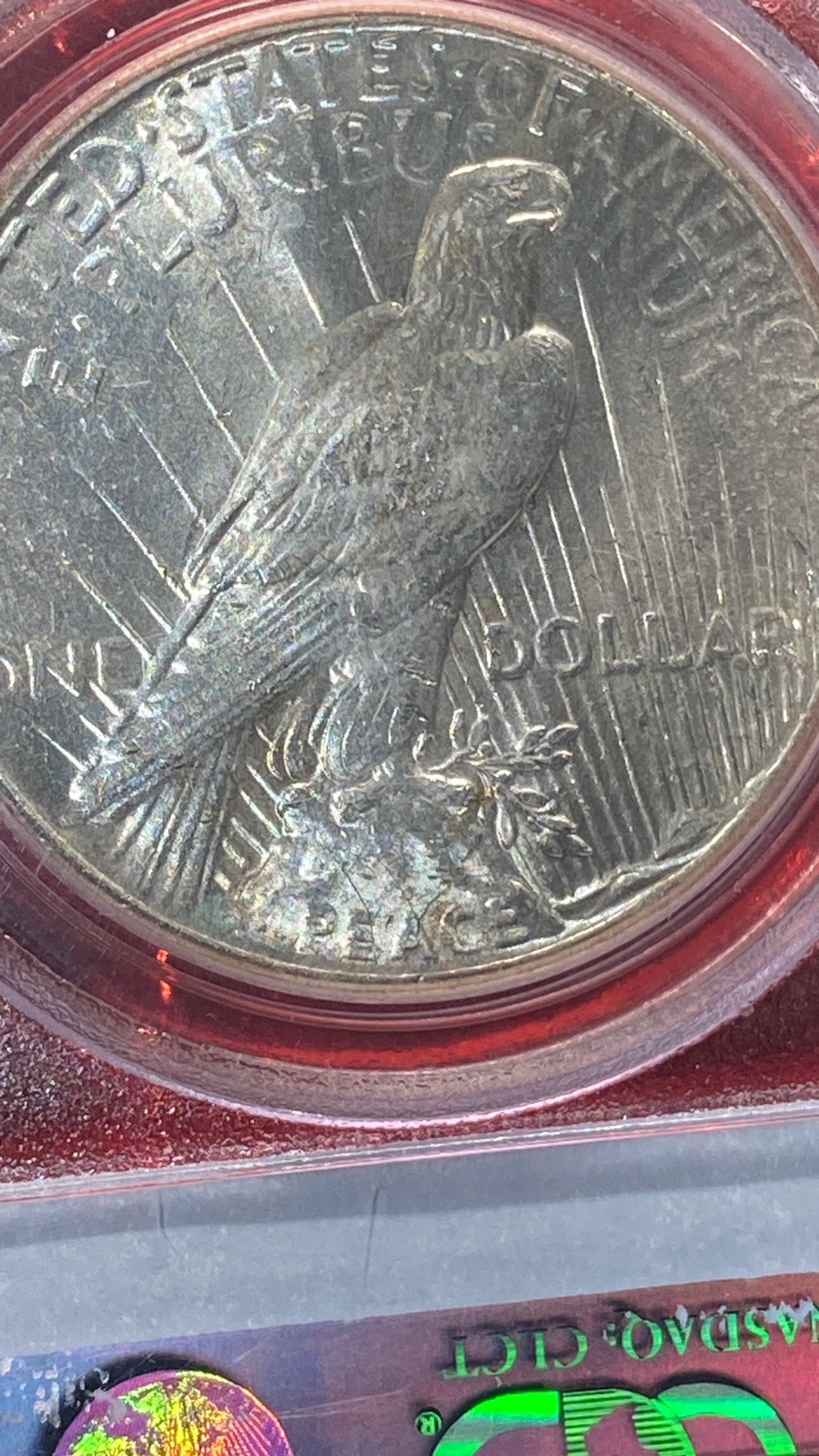 1928 PEACE DOLLAR PCGS MS62 - White Blazer Original Mint Luster.-Lowest Minted