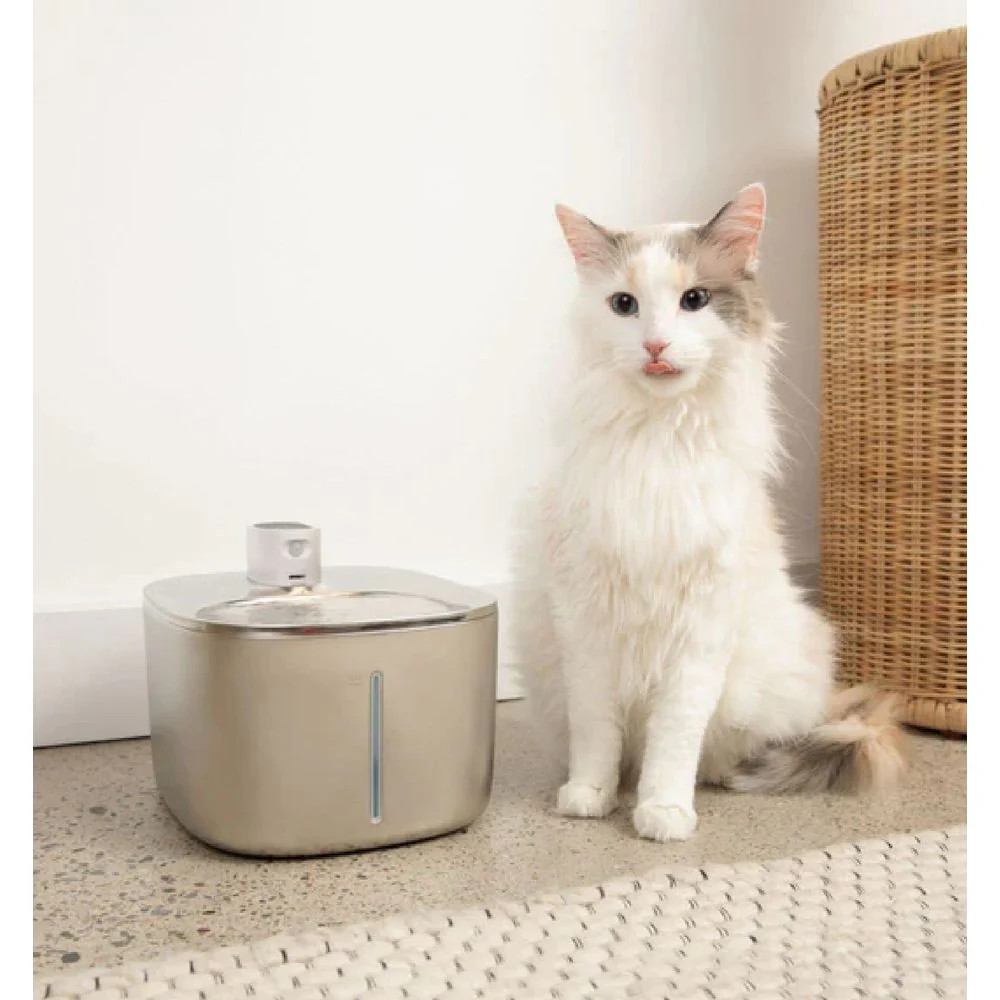 Wireless KittySpout Value Bundle