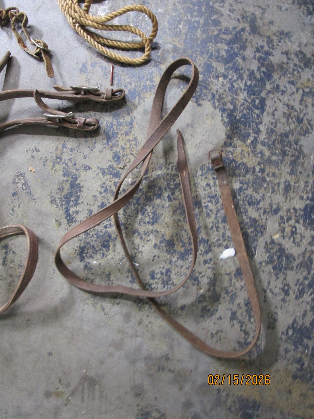Leather Horse Tack Lot