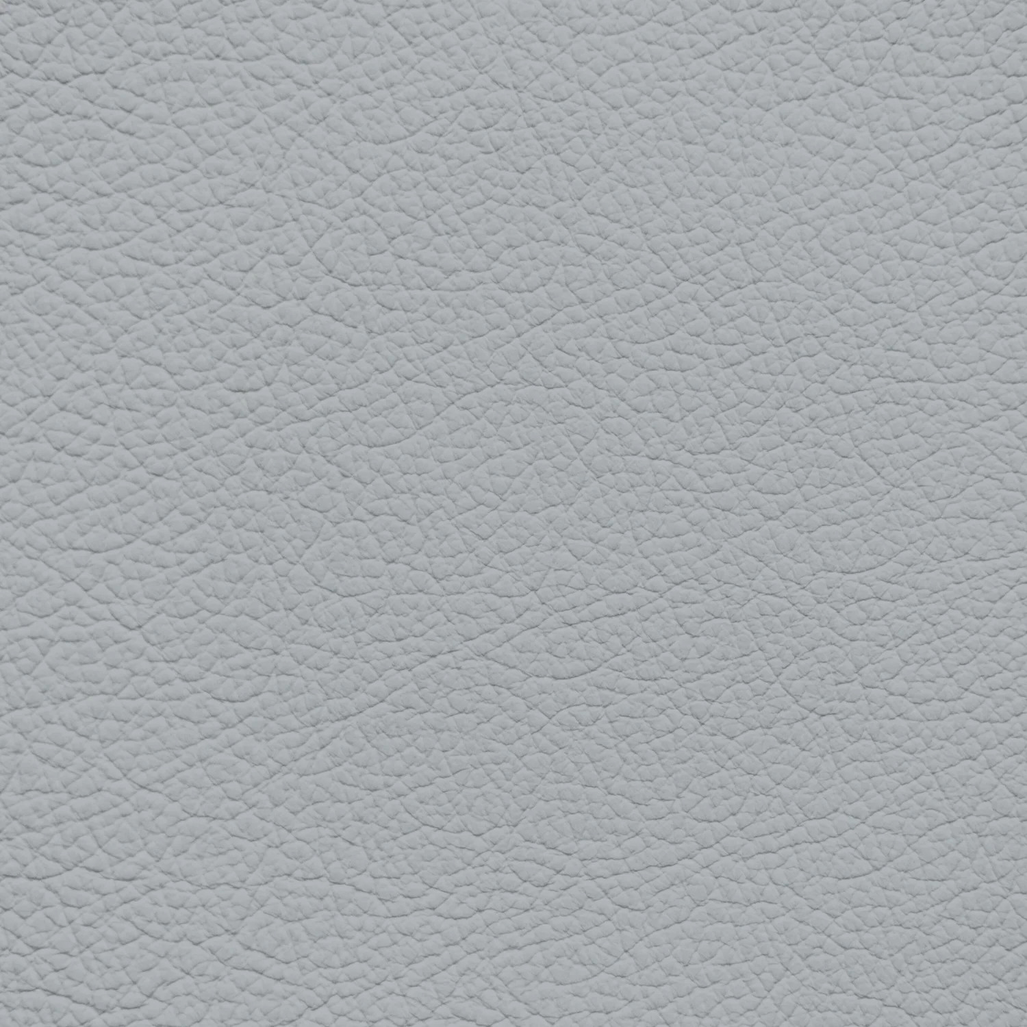 Jaguar Light Cloud Leather Dye