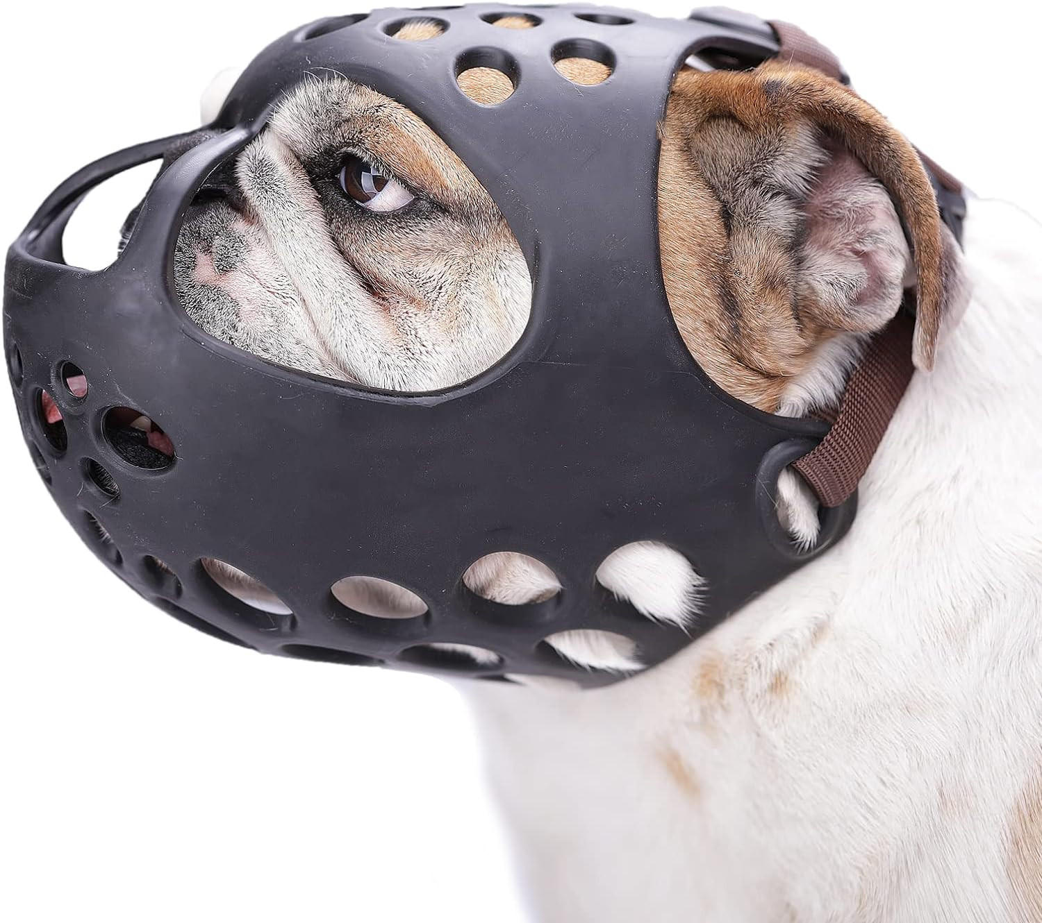 English Bulldog Muzzle for Biting, Breathable Short Snout Muzzle | Soft Flat-Fac
