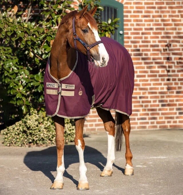 69" Horseware Ireland Amigo stable sheet plum/tan