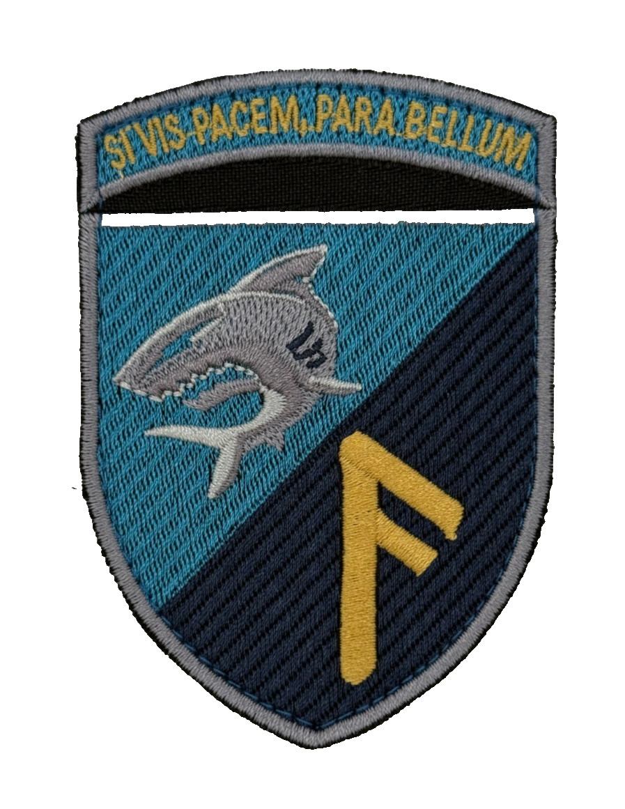 Ukrainian Embroidered Patch Shark Mascot Rune Shield Morale Badge
