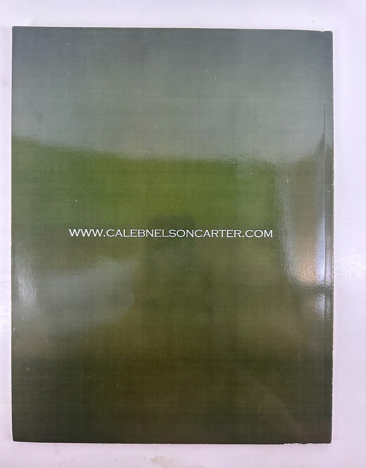 Caleb Nelson Carter Paintings 2006