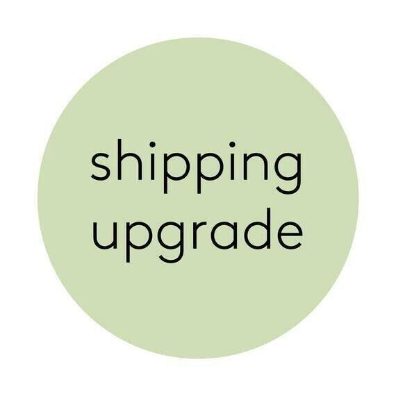 3 DAY PRIORITY SHIPPING UPGRADE