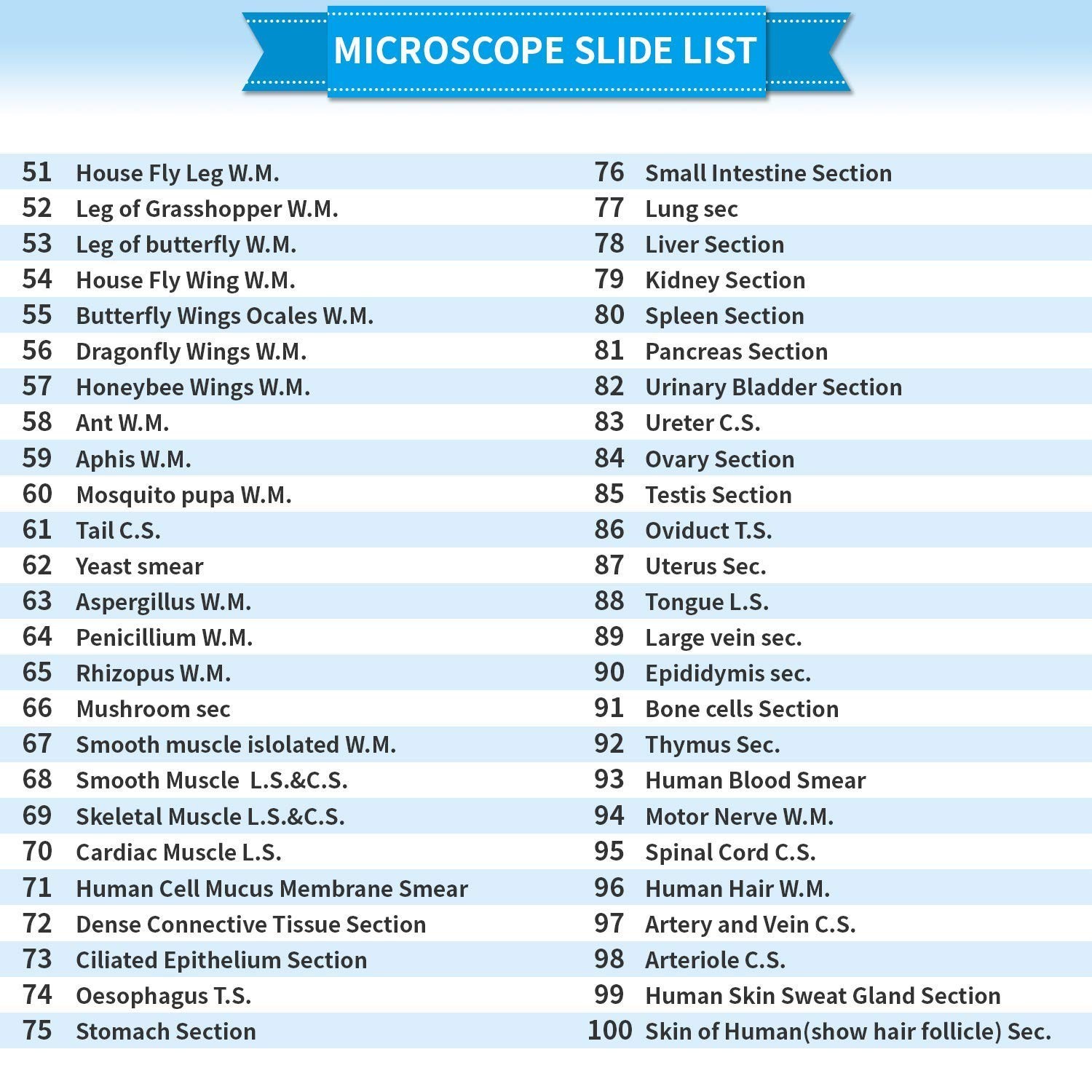 100 Microscope Slides with Frosted Edges - Perfect for Kids’ Science Experience