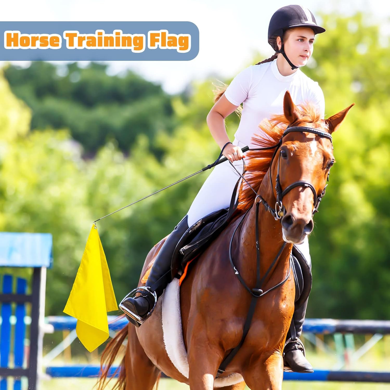 Equestrian Training Flag 4 Pieces Equestrian Training Equipment Nylon Flag with