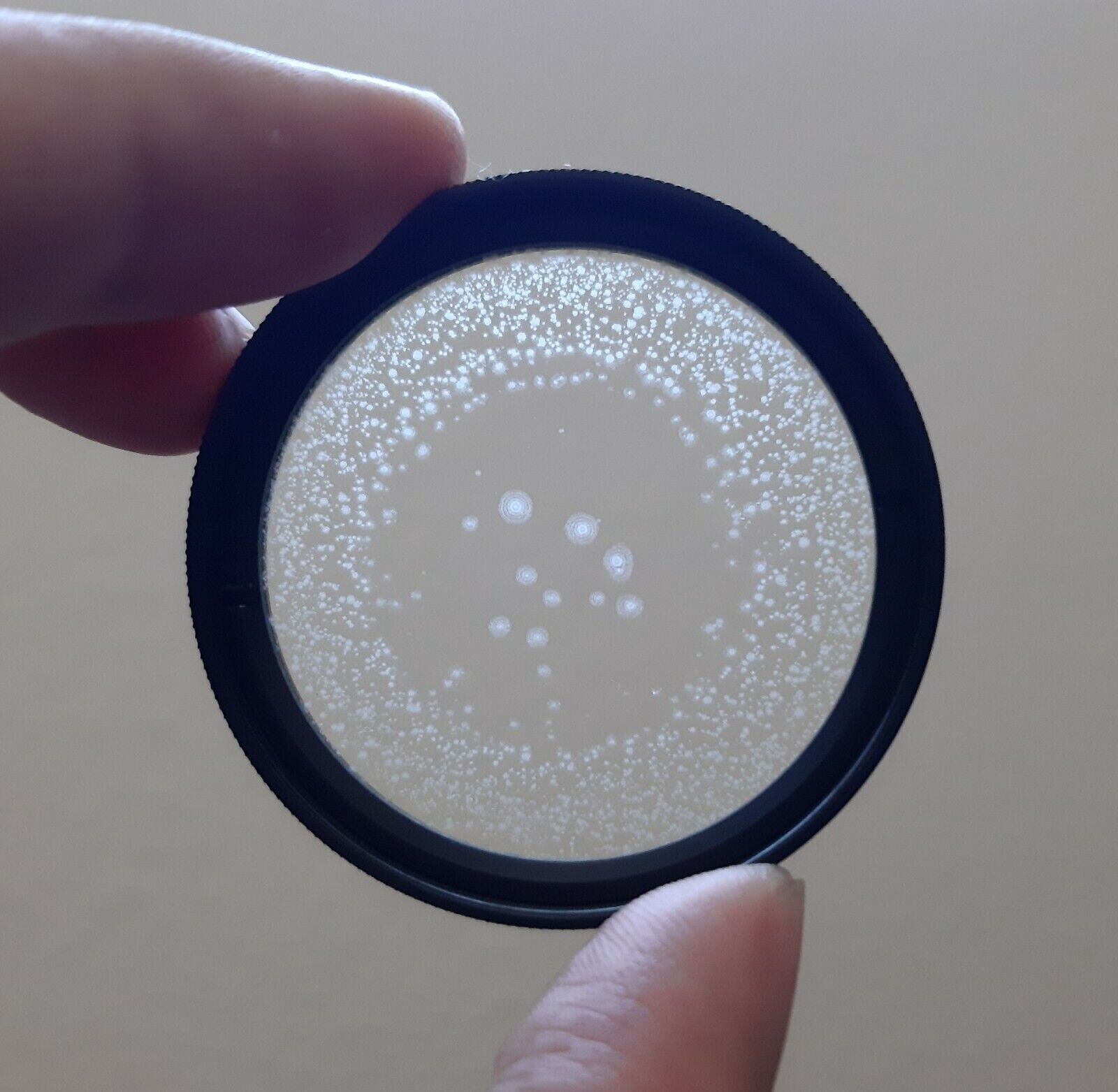 Schneider MC 40.5mm White Frost 1/2 Filter w/ Case