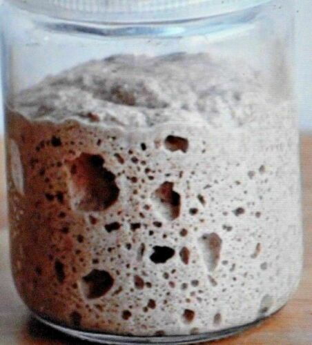 San Francisco SOURDOUGH live YEAST Purely Organic wharf FRESH MONTHLY BONANZA