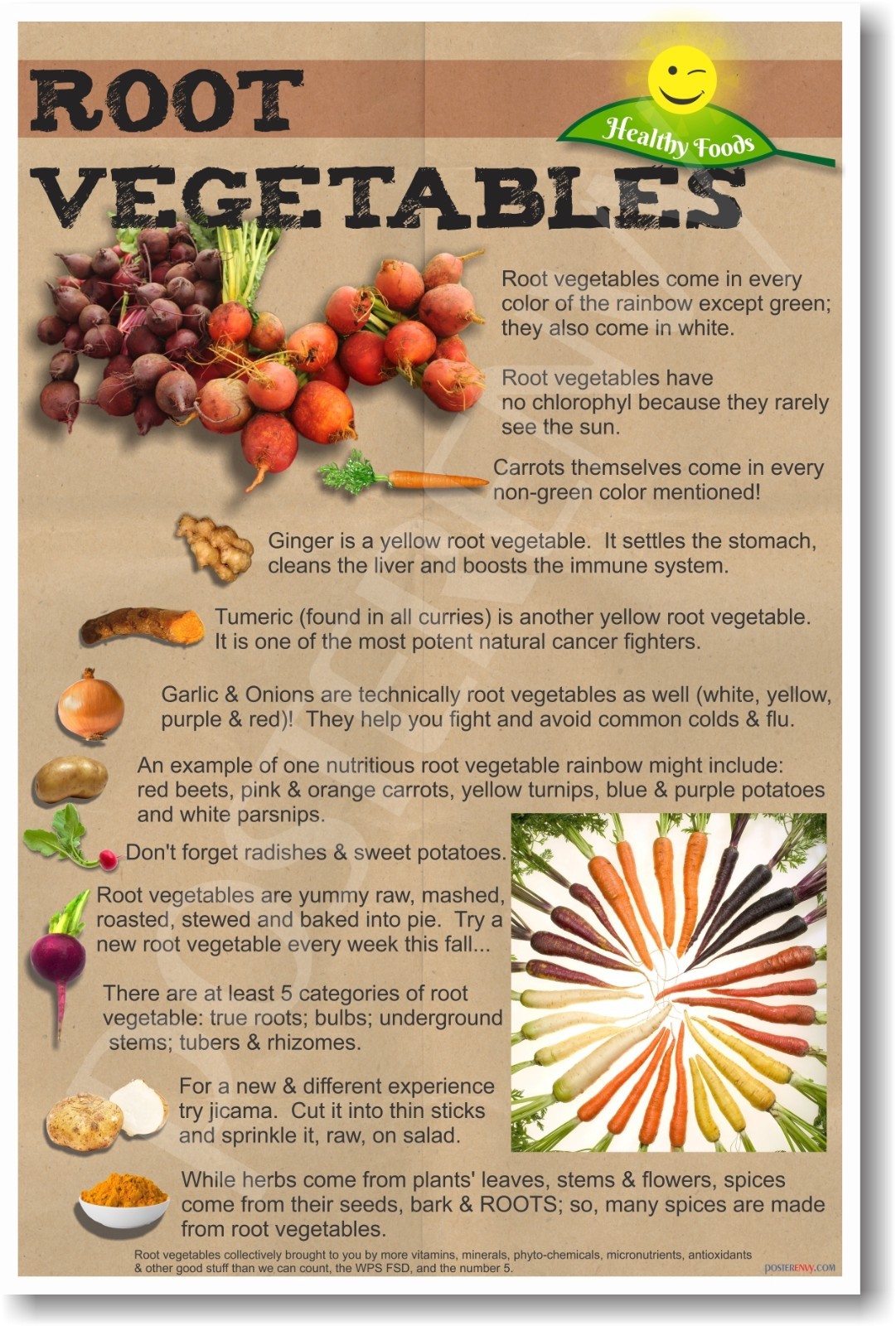 Healthy Foods - Root Vegetables - NEW Nutrition Healthy Foods Diet POSTER