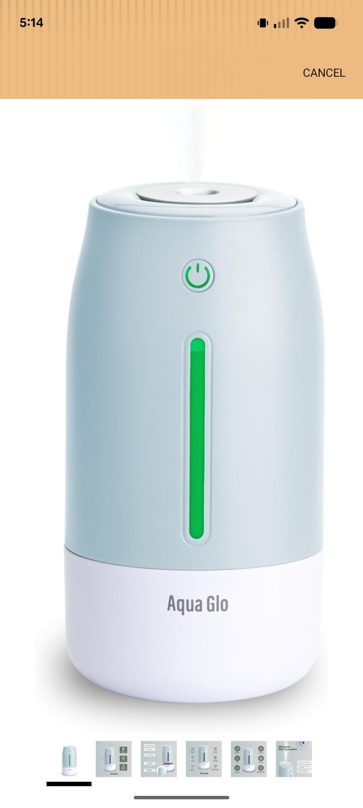 Aqua Pro Small Facial Mister Humidifier New