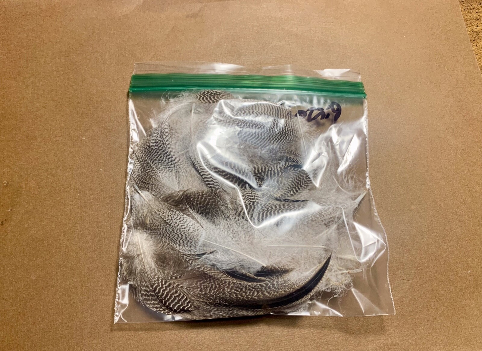 100 Pintail Flank Feathers - Fly Tying