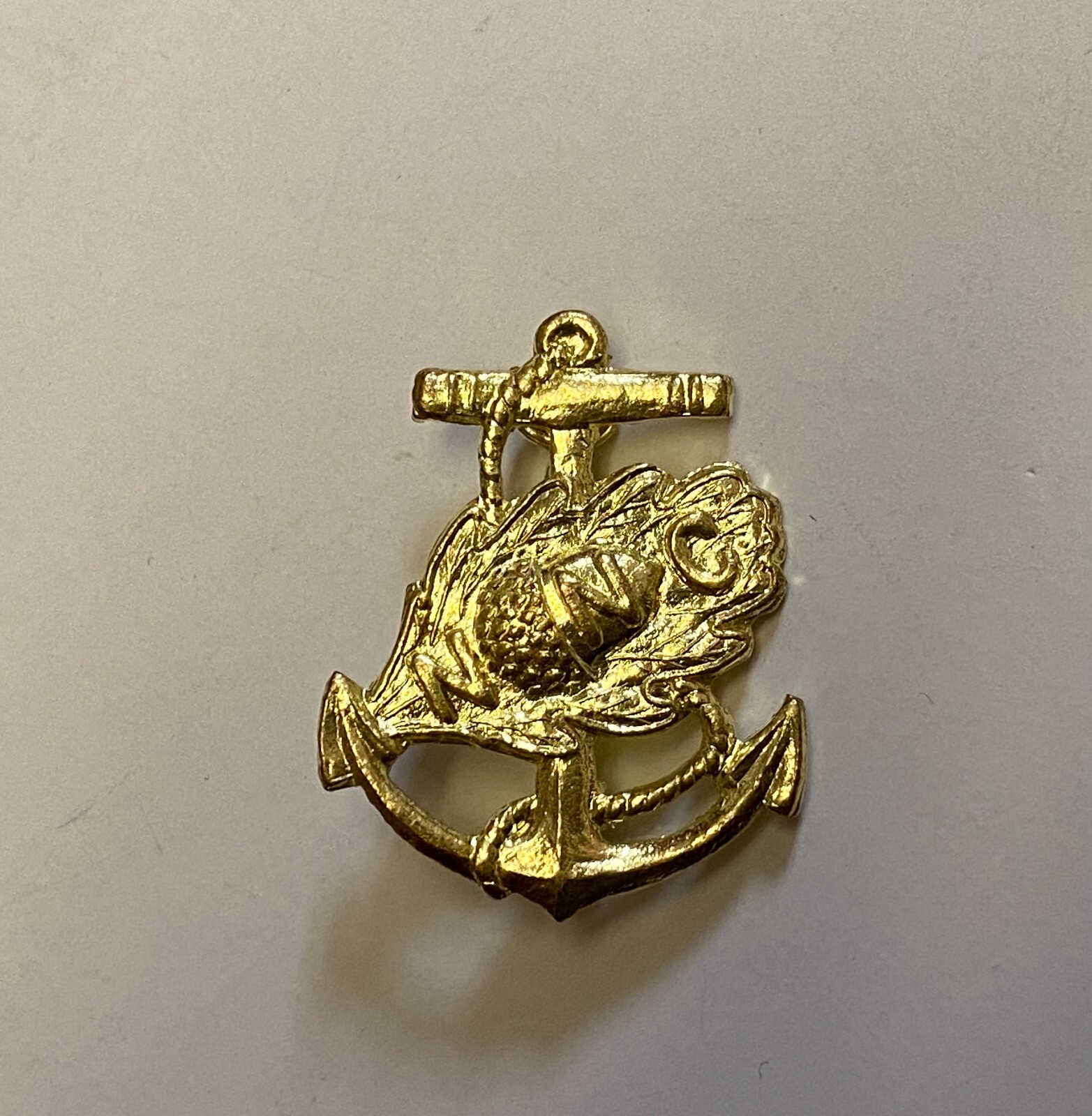 e4393s WW 2 US Navy Nurse Corps NNC USN Overseas Cap Badge IR32A