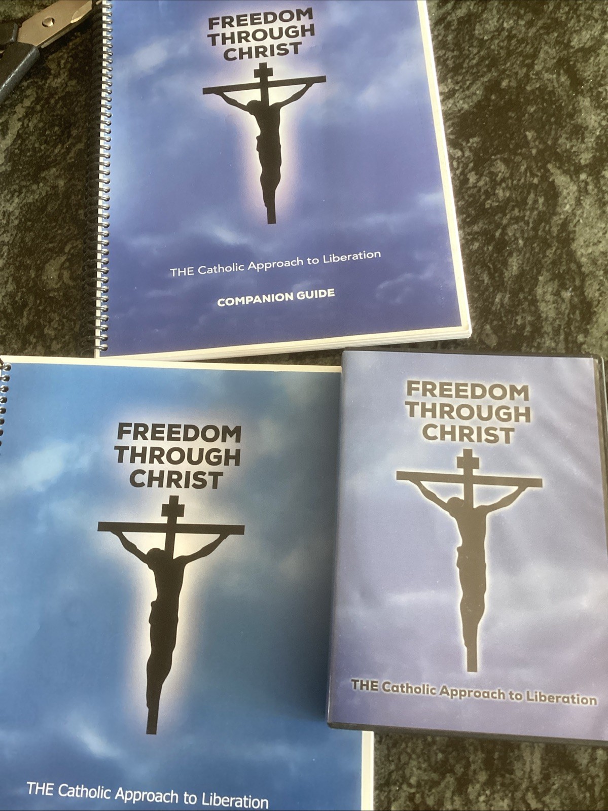 Catholic freedom through Christ companion guide approach to liberation